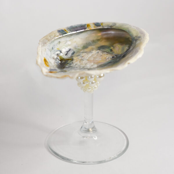 ABALONE CORALIS