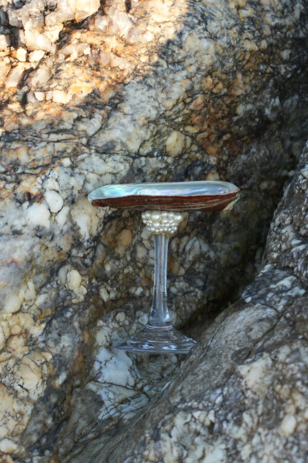 PERLA ABALONE