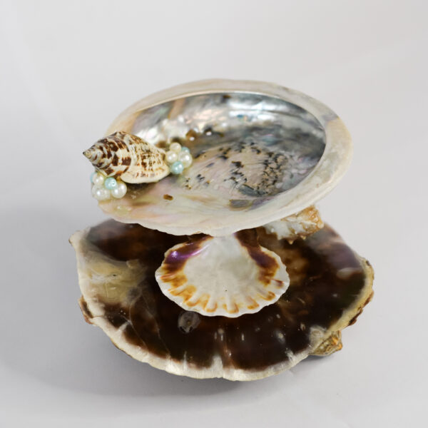 AQUABELLE